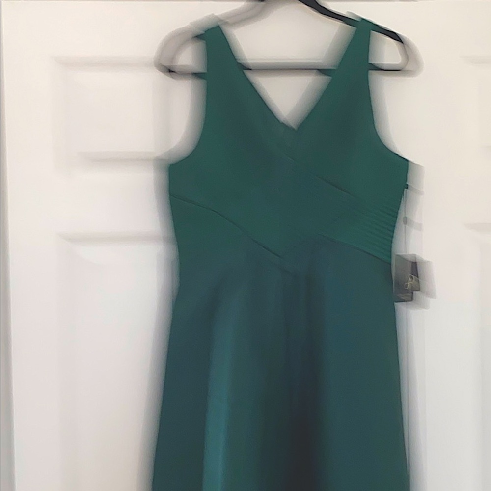 ADRIANNA  PAPELL Gown